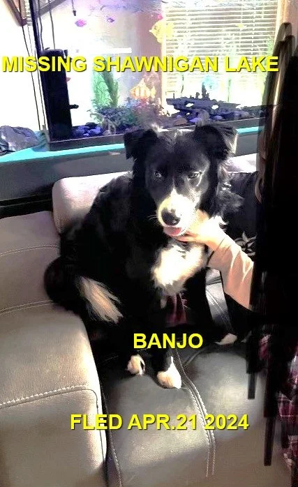 HAPPY ENDINGS - SHAWNIGAN LAKE BC. / BANJO / APRIL 21, 2024