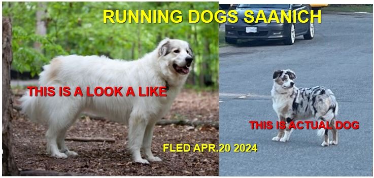 HAPPY ENDINGS X 2 - SAANICH BC. / APRIL 20, 2024