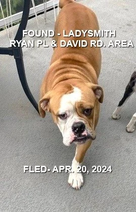 HAPPY ENDINGS - LADYSMITH BC. / APRIL 20, 2024