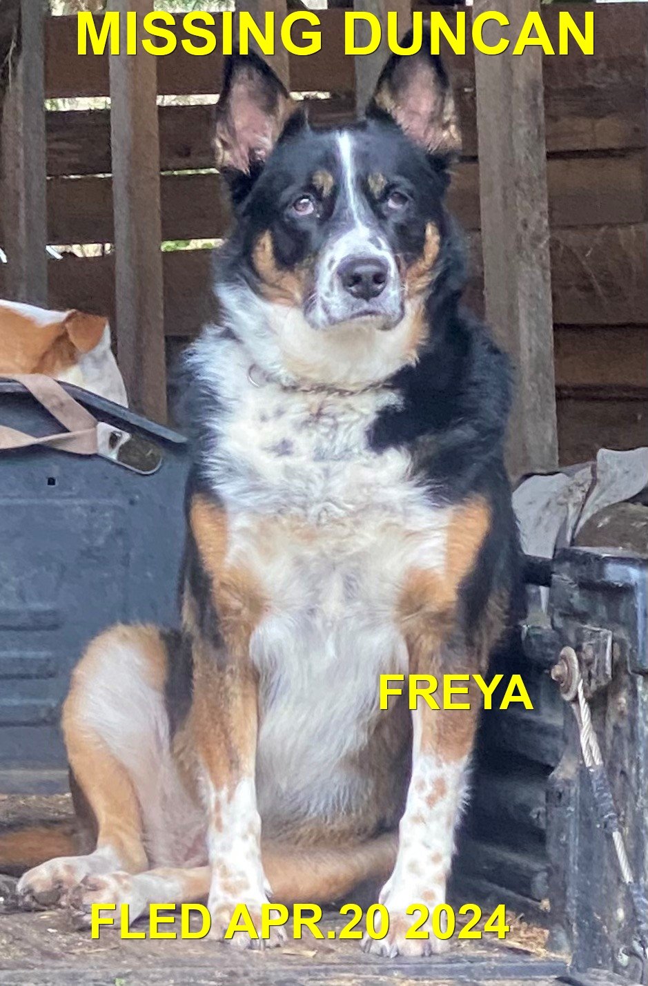 HAPPY ENDINGS - DUNCAN BC. / FREYA / APRIL 19, 2024