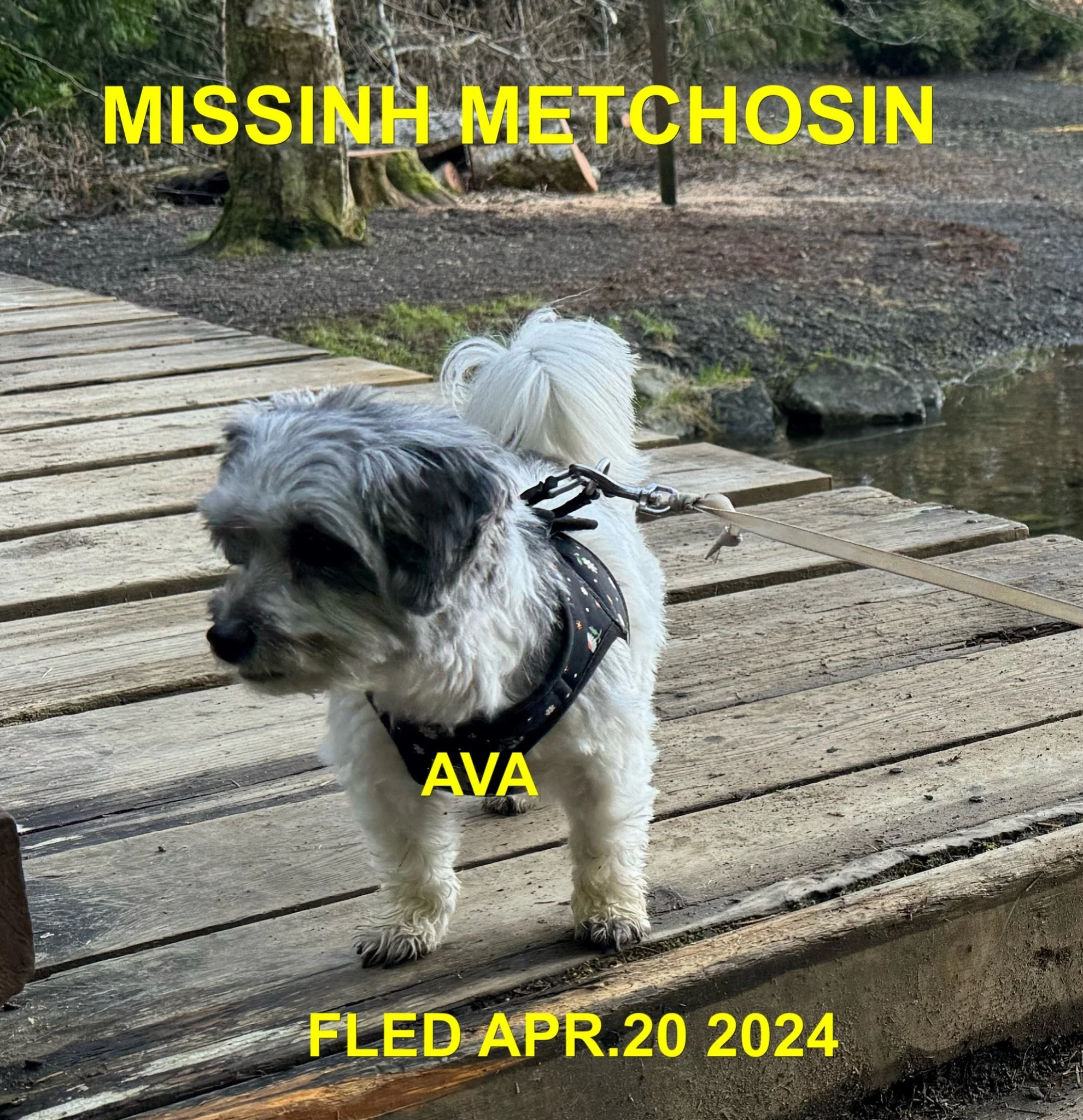 HAPPY ENDINGS - METCHOSIN BC. / AVA / APRIL 20, 2024