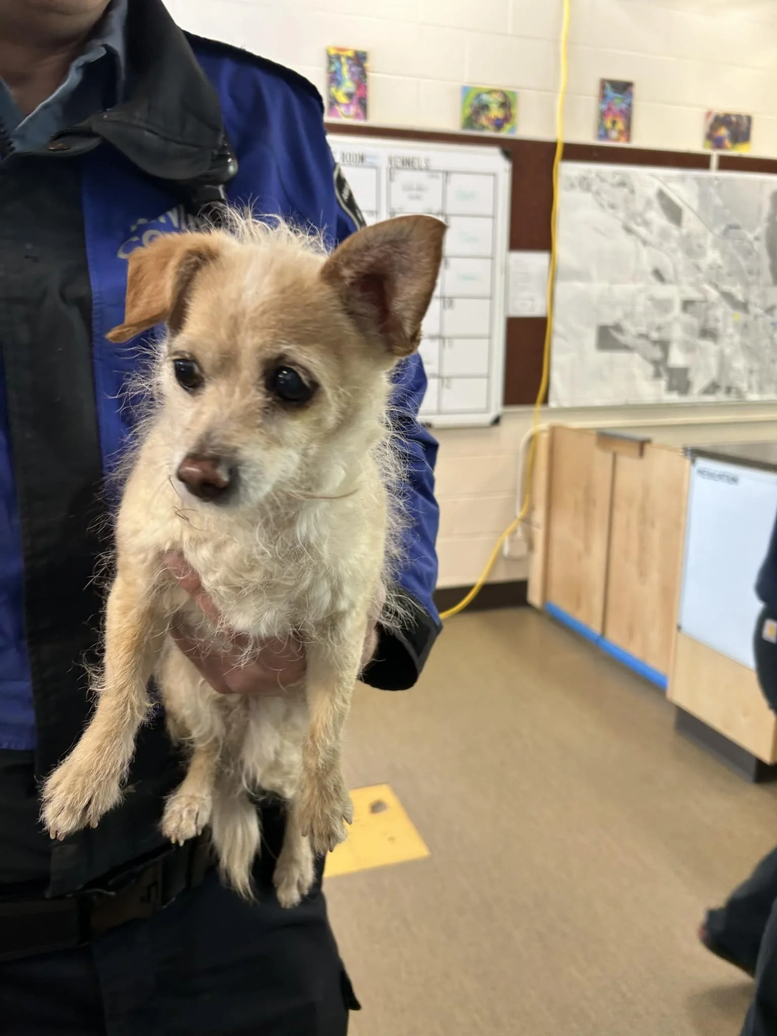 GONE TO SHELTER / HAPPY ENDINGS - NANAIMO BC. / APRIL 19, 2024