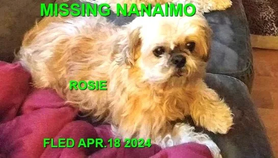 HAPPY ENDINGS - NANAIMO BC. / ROSIE / APRIL 18, 2024