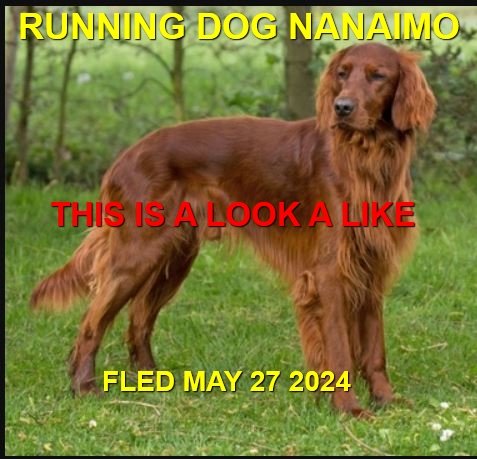 HAPPY ENDINGS - NANAIMO BC. / MAY 27, 2024