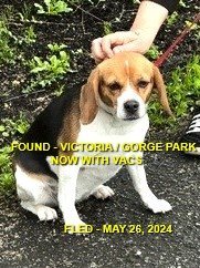 GONE TO SHELTER / GONE HOME - VICTORIA BC. / MAY 26, 2024
