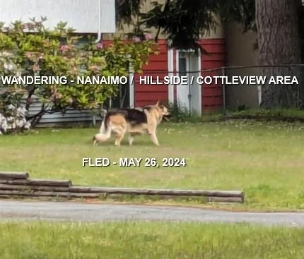 HAPPY ENDINGS - NANAIMO BC. / MAY 26, 2024