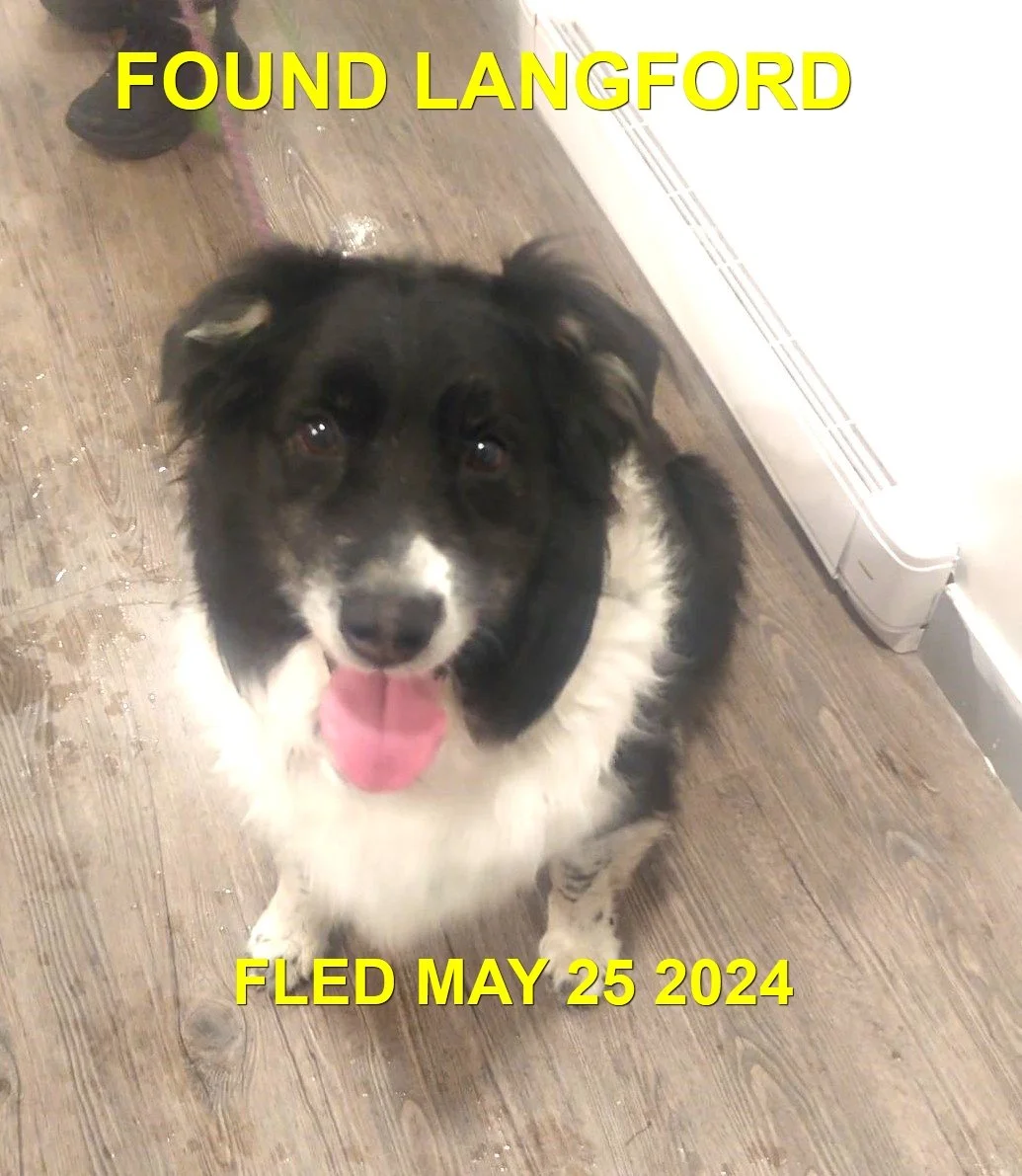 HAPPY ENDINGS - LANGFORD BC. / MAY 25, 2024