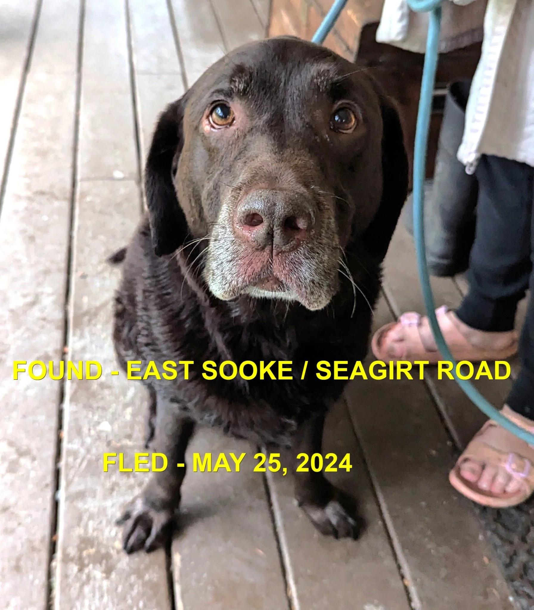 HAPPY ENDINGS - EAST SOOKE BC. / MAY 25, 2024