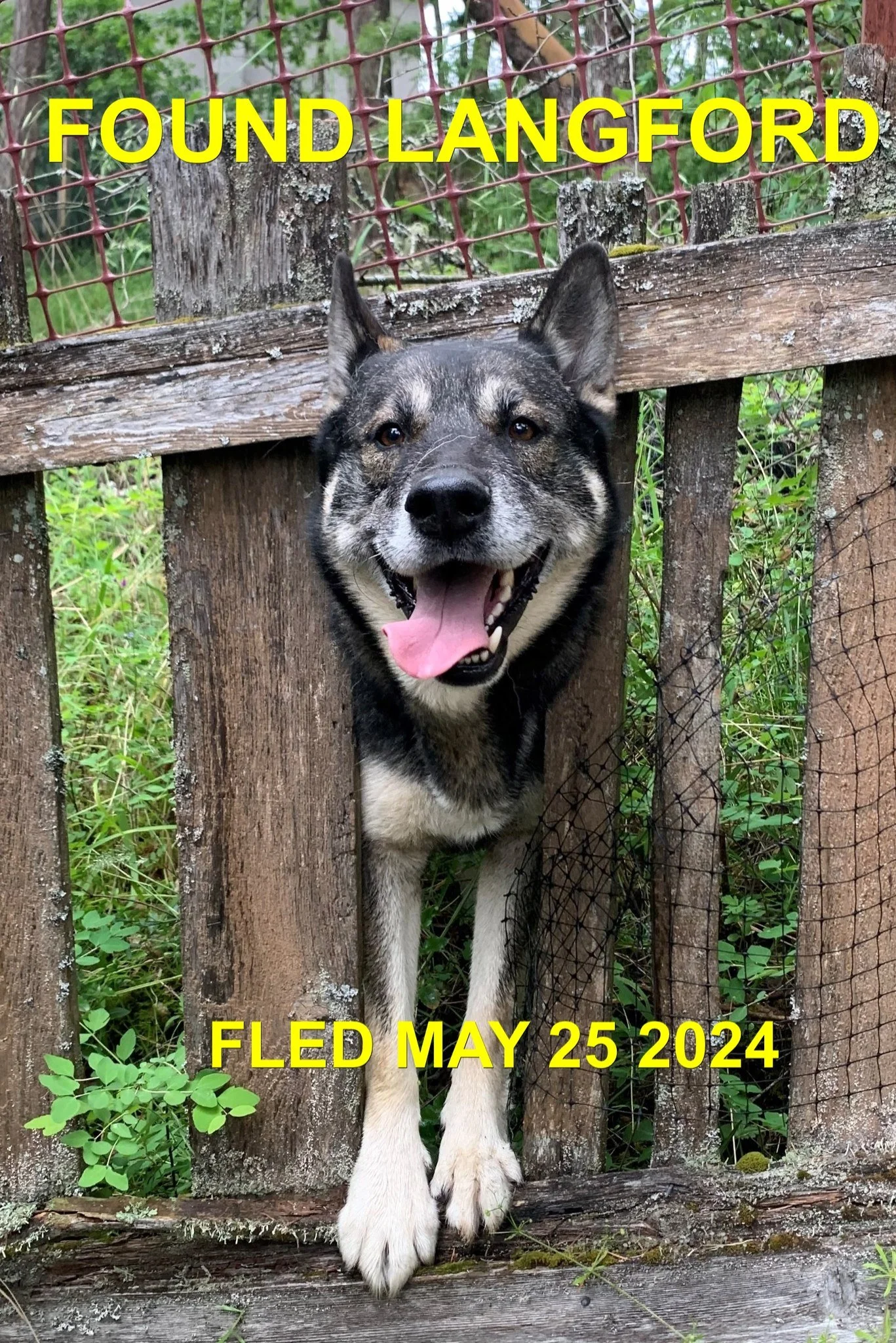 HAPPY ENDINGS - LANGFORD BC. / MAY25, 2024