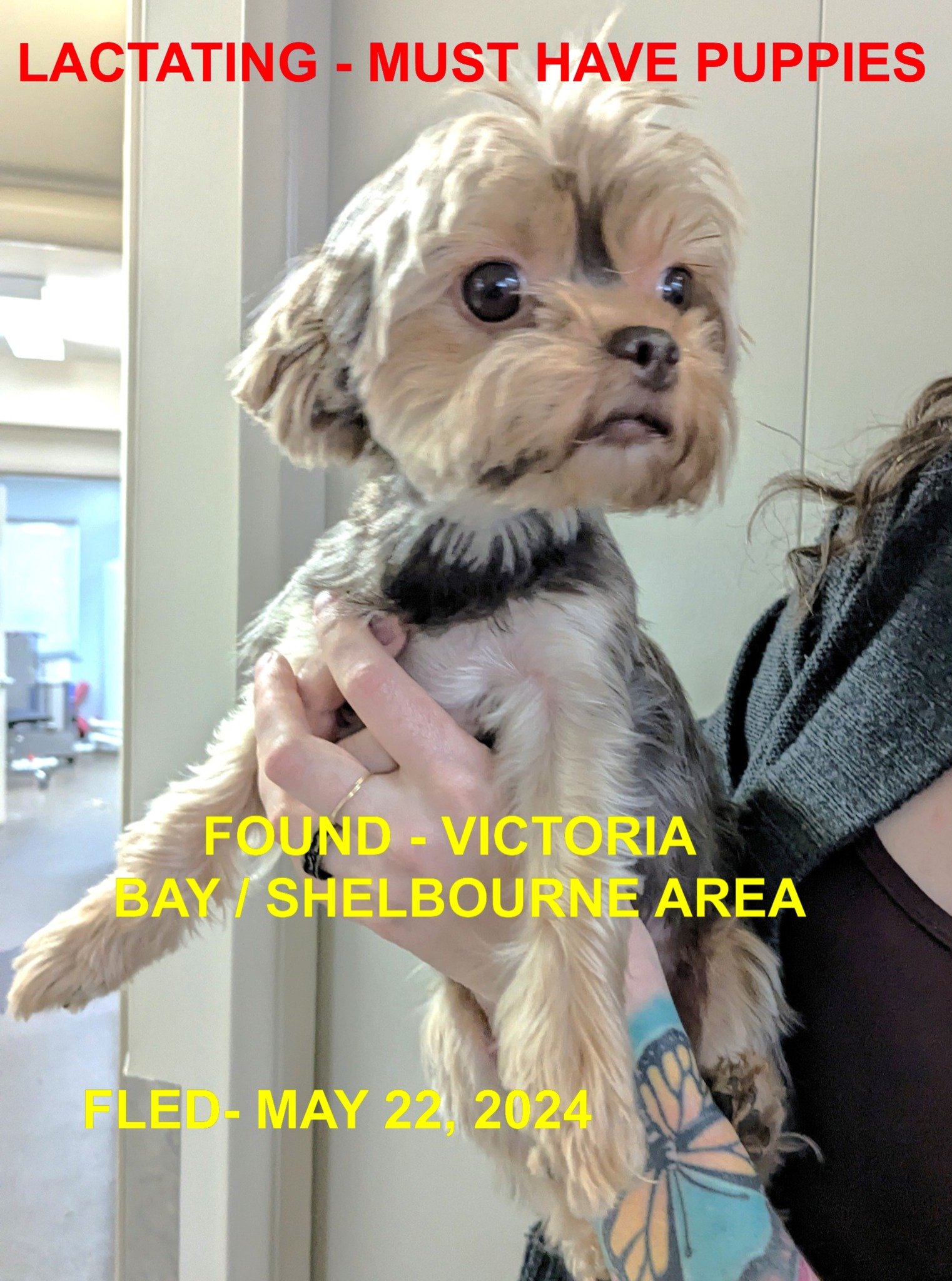 HAPPY ENDINGS -  VICTORIA, BC. / MAY 22, 2024