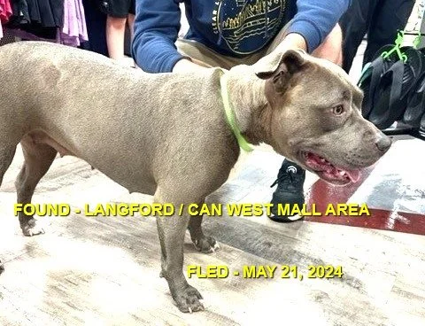 HAPPY ENDINGS - LANGFORD BC. / MAY 21, 2024