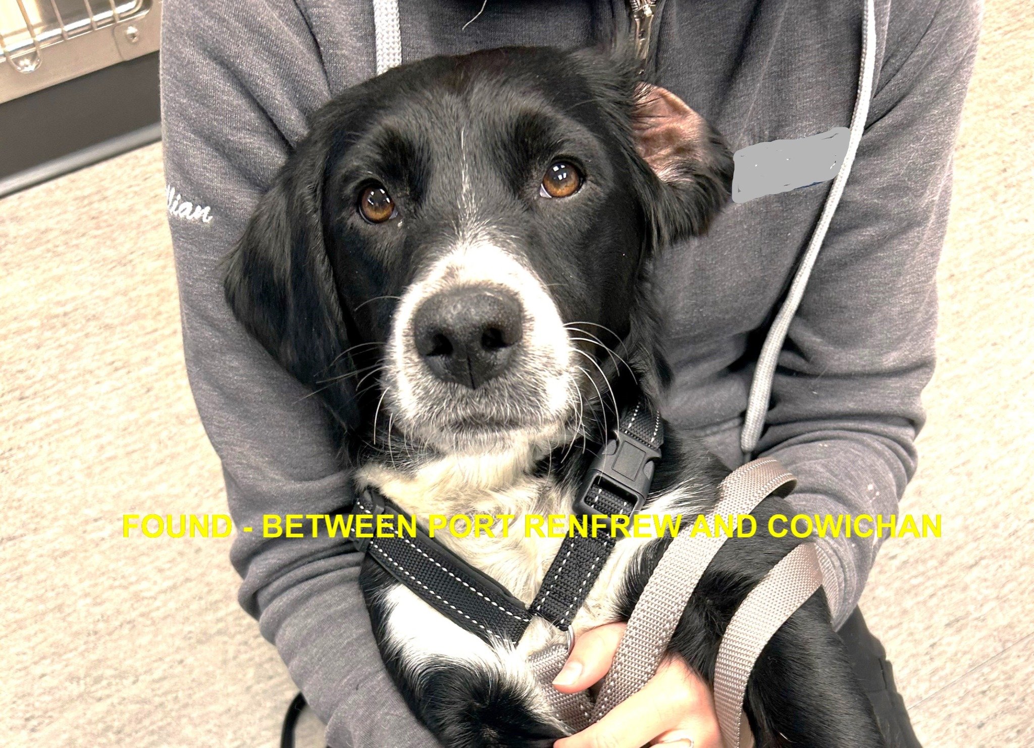 HAPPY ENDINGS - PORT RENFREW BC. / LUCKY / MAY 26, 2024