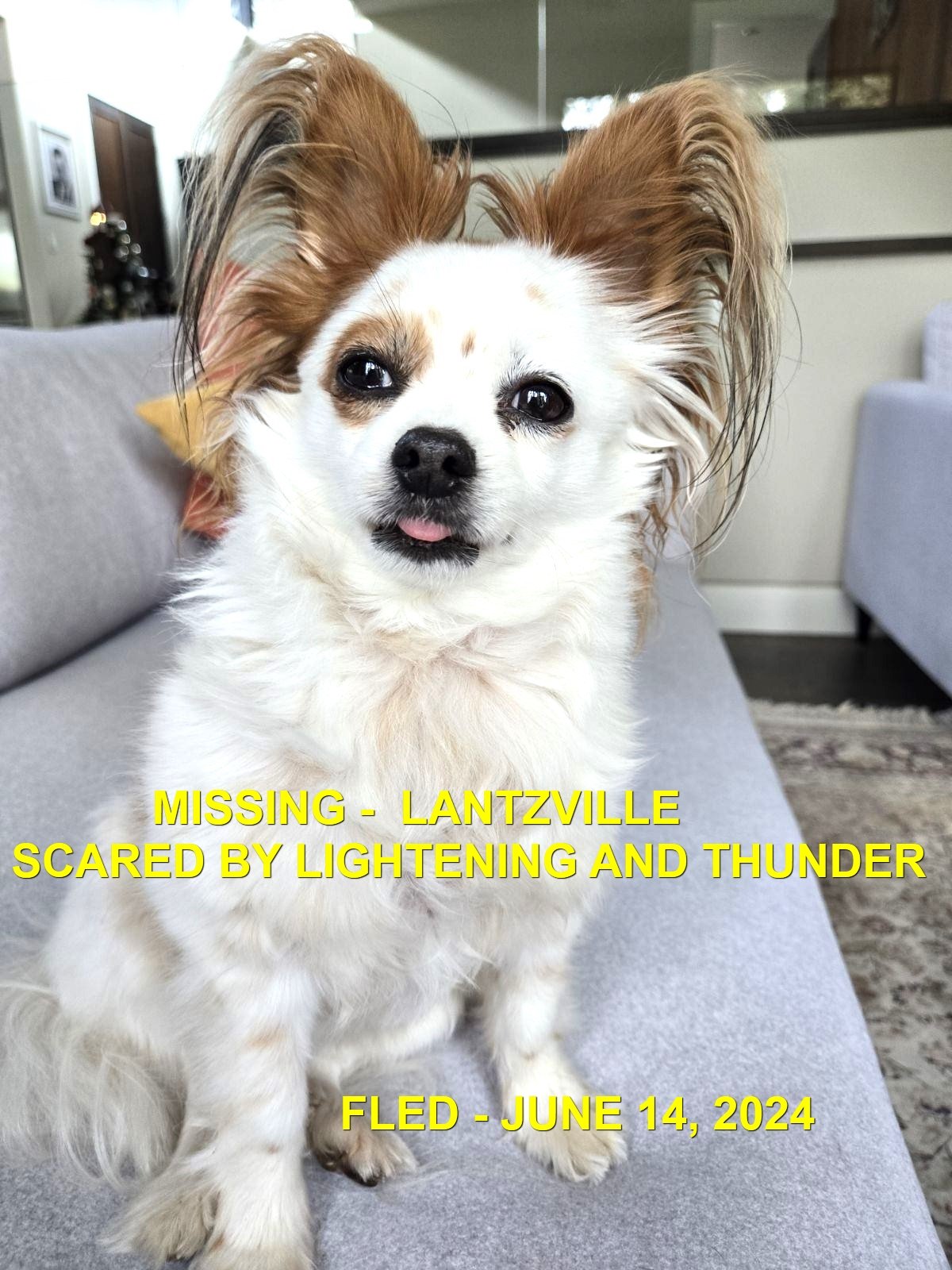 HAPPY ENDINGS - LANTZVILLE BC. / SUSIE / JUNE 14, 2024