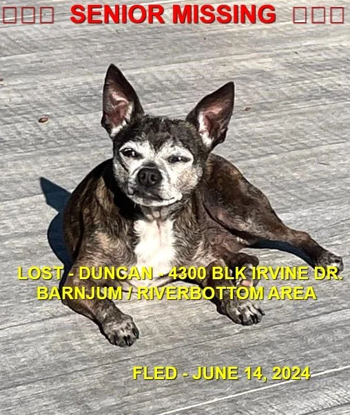 HAPPY ENDINGS - DUNCAN BC. / RASCALL / JUNE 13, 2024