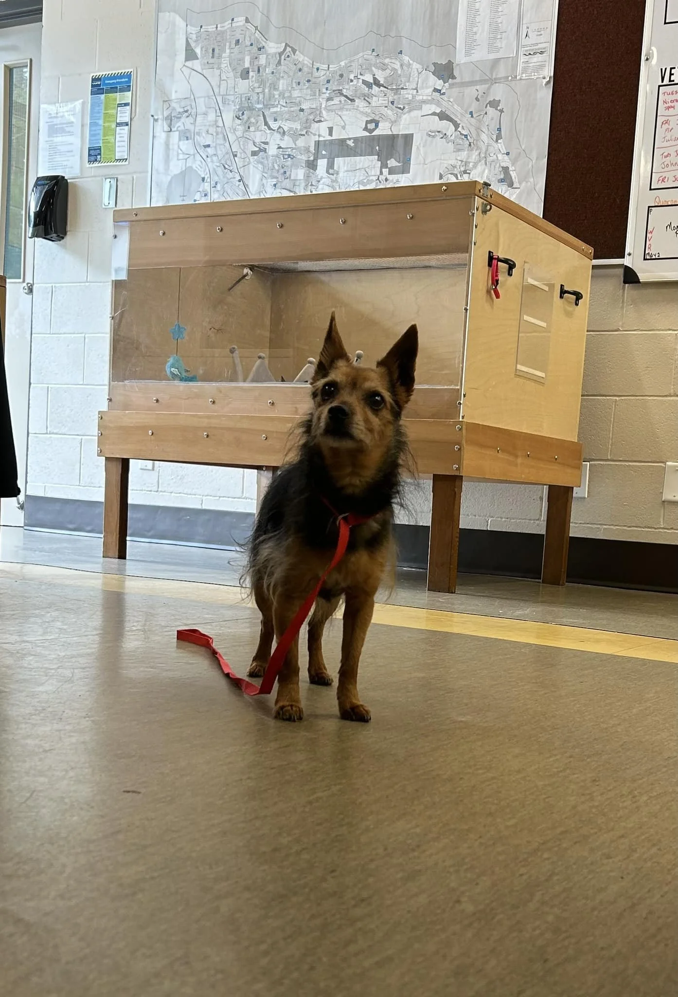 SHELTER / HAPPY ENDINGS - NANAIMO BC. / JUNE 14, 2024