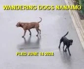 UNRESOLVED - NANAIMO BC. / JUNE 14, 2024