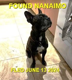 HAPPY ENDINGS - NANAIMO BC. / JUNE 13, 2024