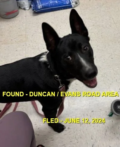 HAPPY ENDINGS - DUNCAN BC. / JUNE 12, 2024