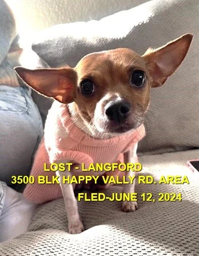 CAME HOME ON OWN - HAPPY ENDINGS -LANGFORD BC. / HOPE / JUNE 12, 2024