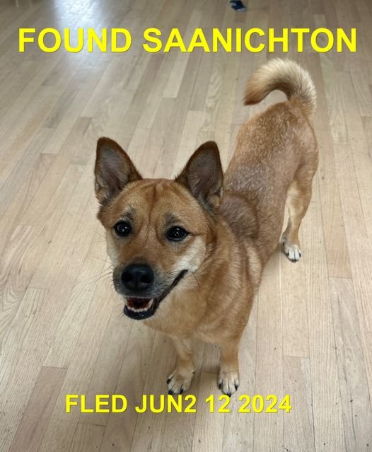 HAPPY ENDINGS - SAANICHTON BC. / JUNE 12, 2024