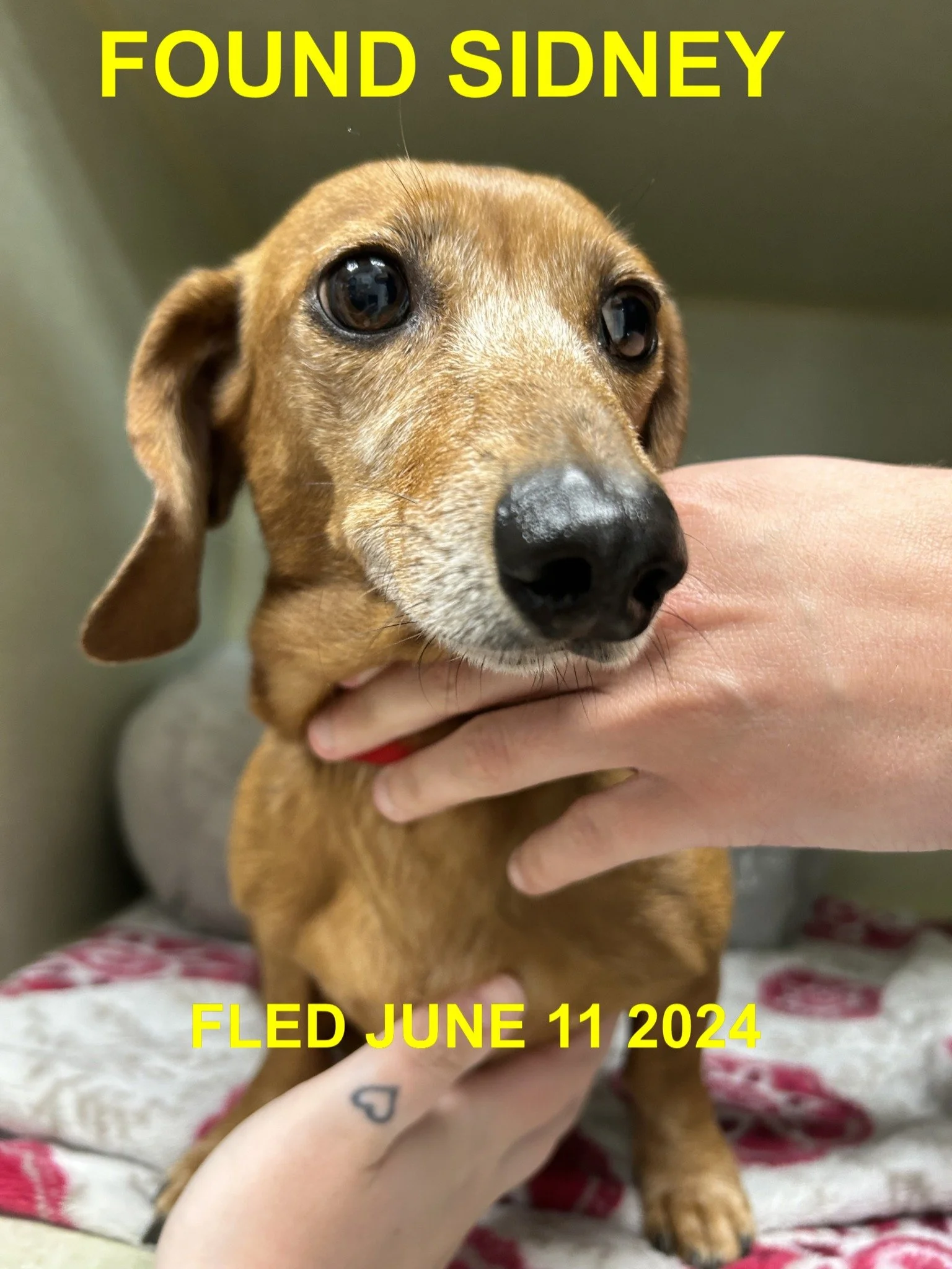 HAPPY ENDINGS - SIDNEY BC. /  JUNE 11, 2024