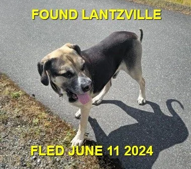 HAPPY ENDINGS - LANTZVILLE BC. / JUNE 11, 2024