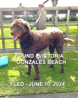 HAPPY ENDINGS - VICTORIA BC. / JUNE 10, 2024