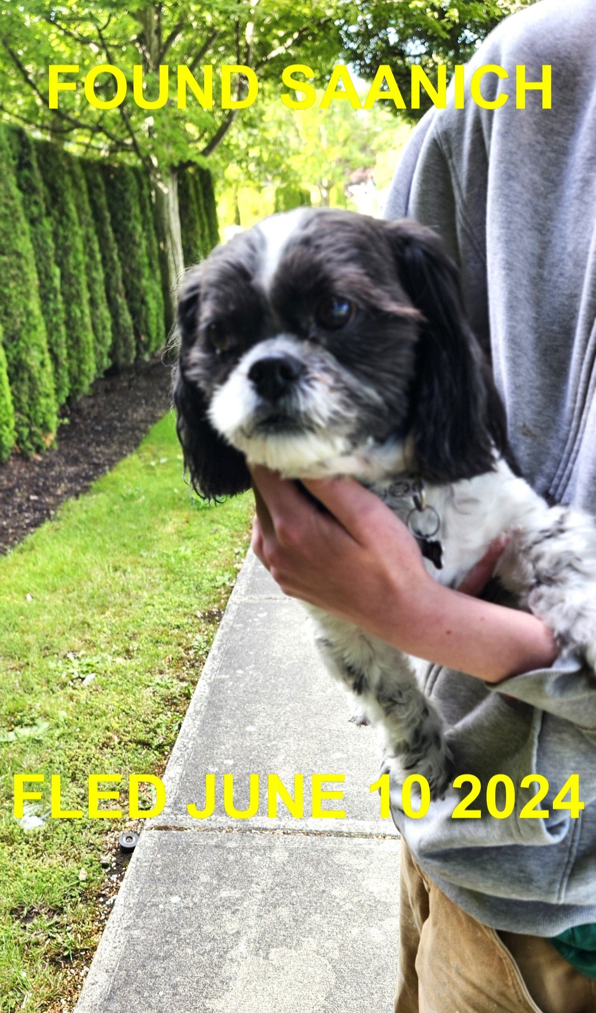 HAPPY ENDINGS - SAANICH BC. / PIPER / JUNE 10, 2024