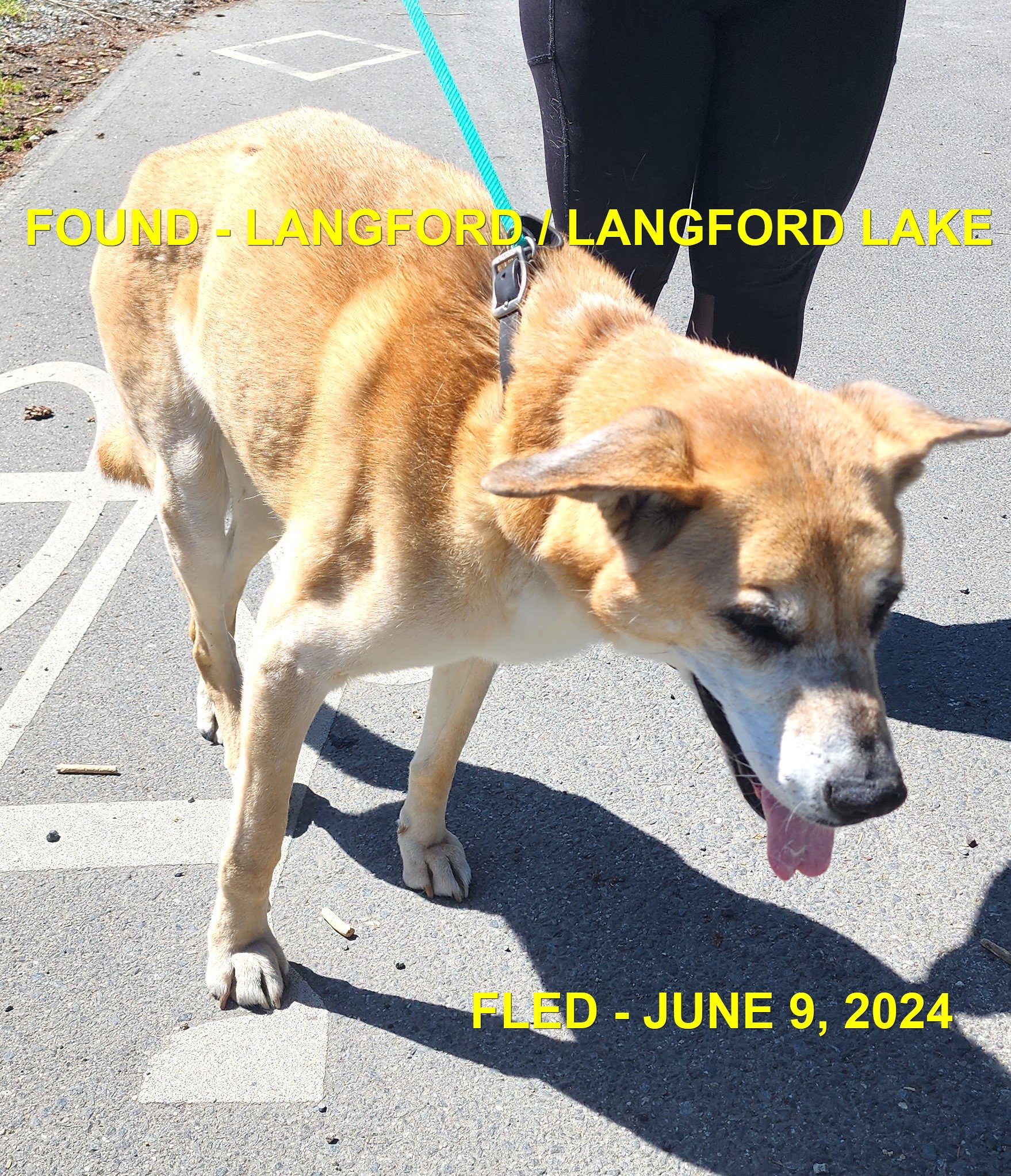 HAPPY ENDINGS - LANGFORD BC. / RIPLEY / JUNE 9, 2024