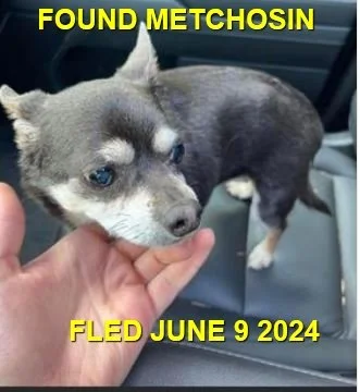 HAPPY ENDINGS - METCHOSIN BC. / CARLOS /  JUNE 9, 2024