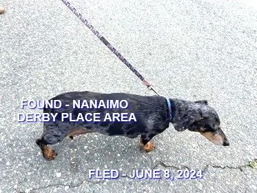 HAPPY ENDINGS - NANAIMO BC. / JUNE 8, 2024