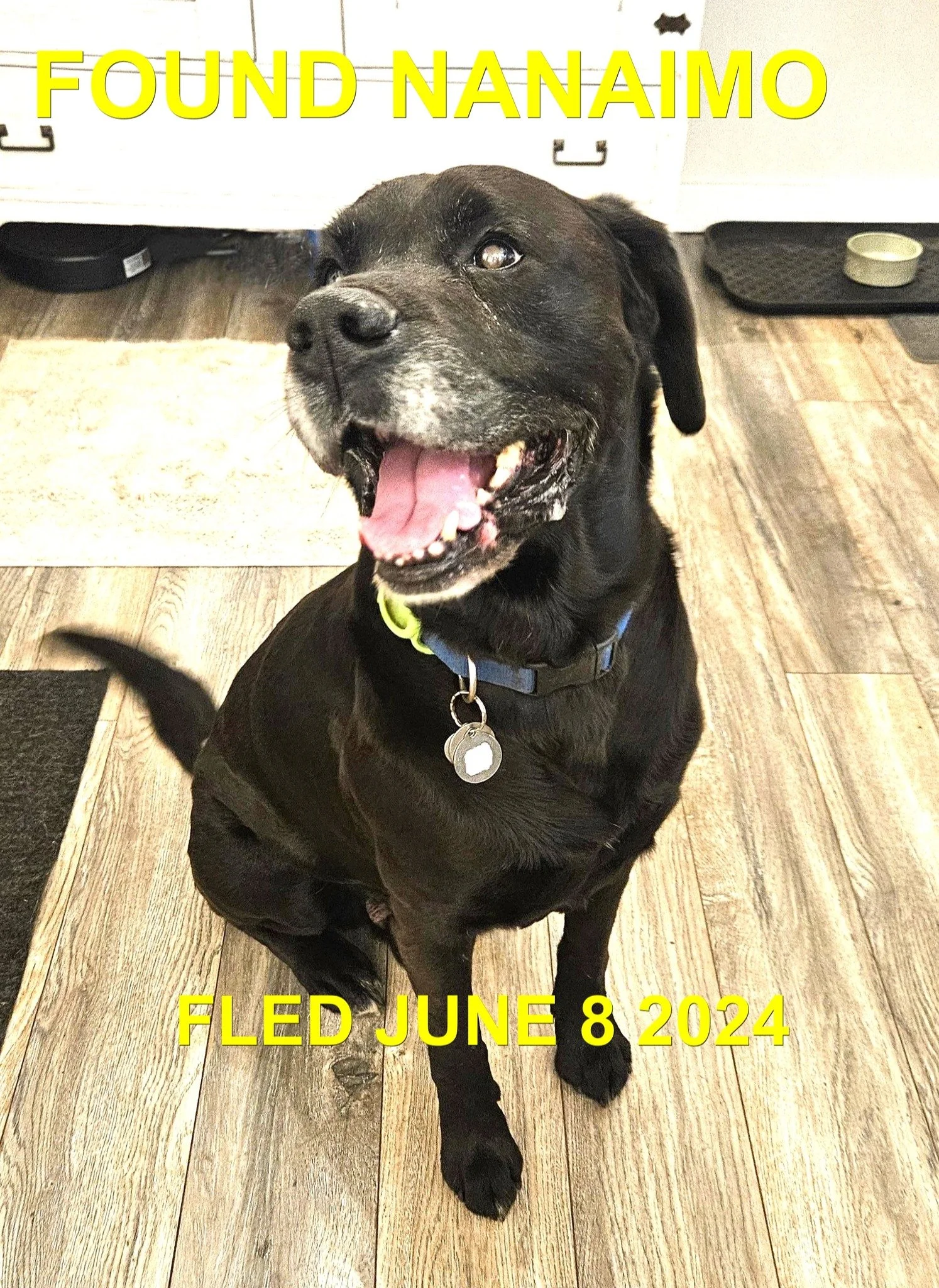 HAPPY ENDINGS - NANAIMO BC. / JUNE 8, 2024