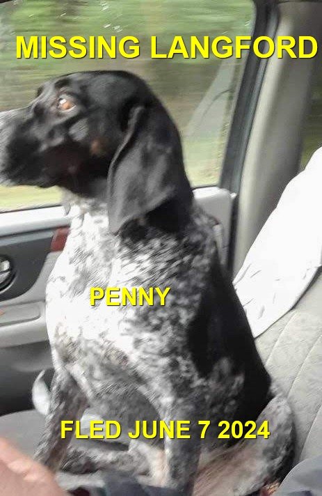 HAPPY ENDINGS - LANGFORD BC. / PENNY / JUNE 7, 2024