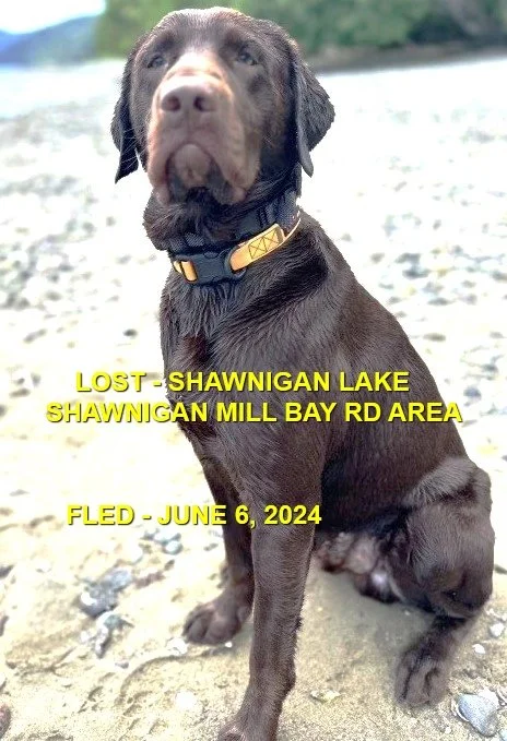 HAPPY ENDINGS - SHAWNIGAN LAKE BC. / FISHER / JUNE 6, 2024