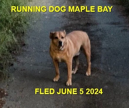 UNRESOLVED - MAPLE BAY BC. / JUNE 5, 2024