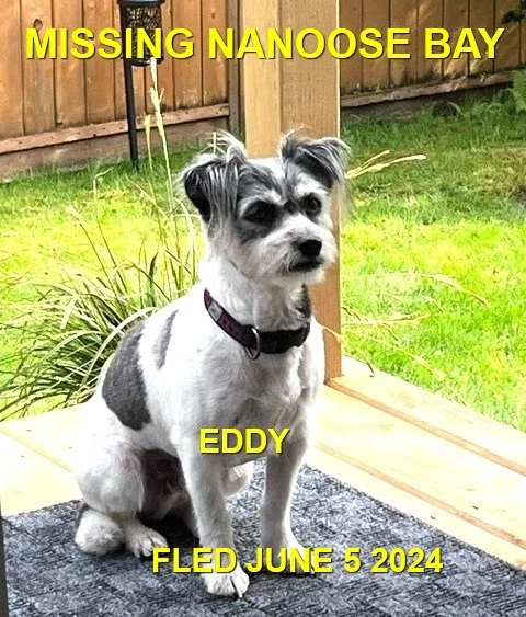 HAPPY ENDINGS - NANOOSE BAY BC. / EDDY / JUNE 5, 2024