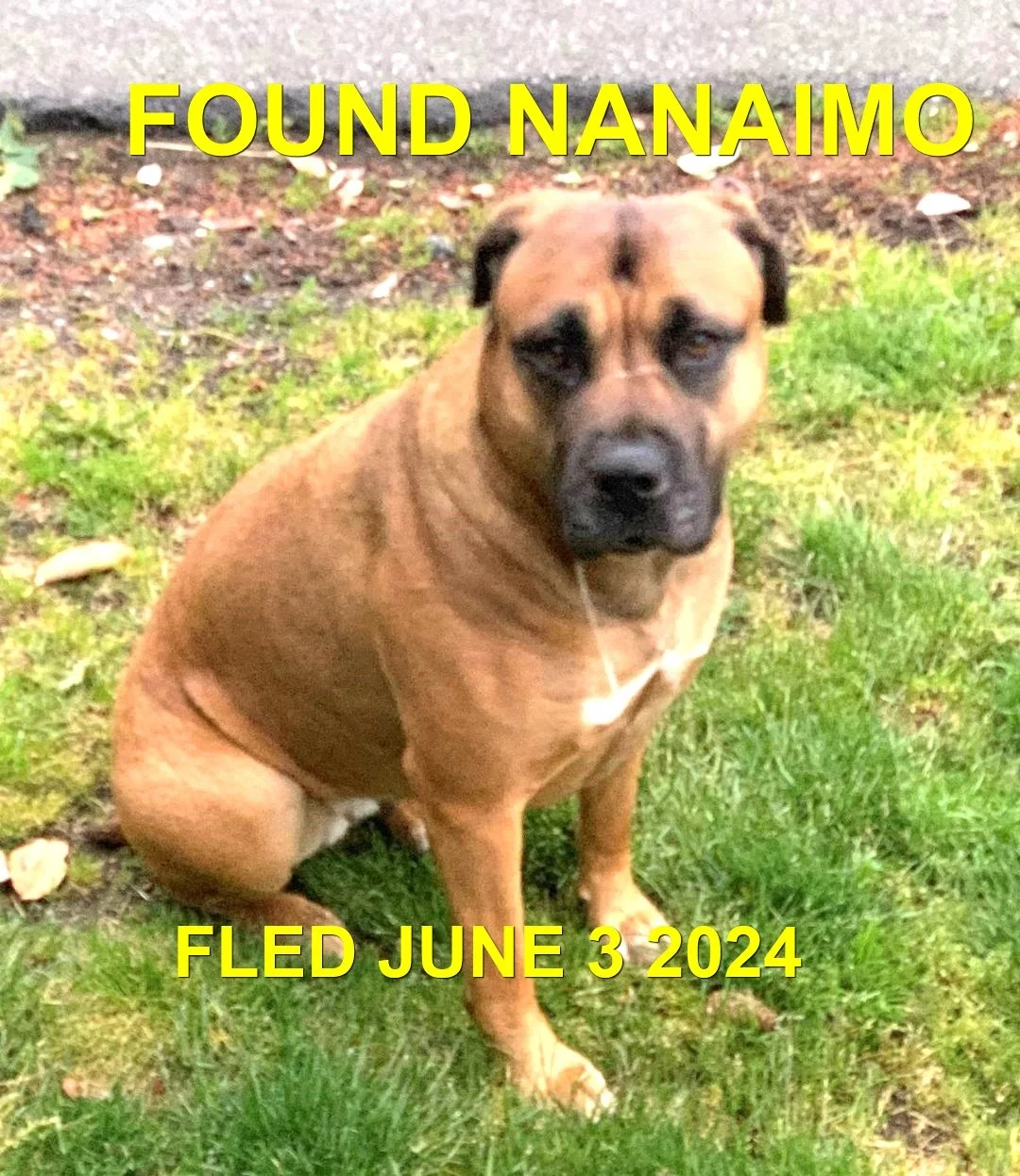 HAPPY ENDINGS - NANAIMO BC. / JUNE 3, 2024