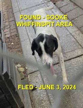 HAPPY ENDINGS - SOOKE BC. / ORIEL / JUNE 3, 2024