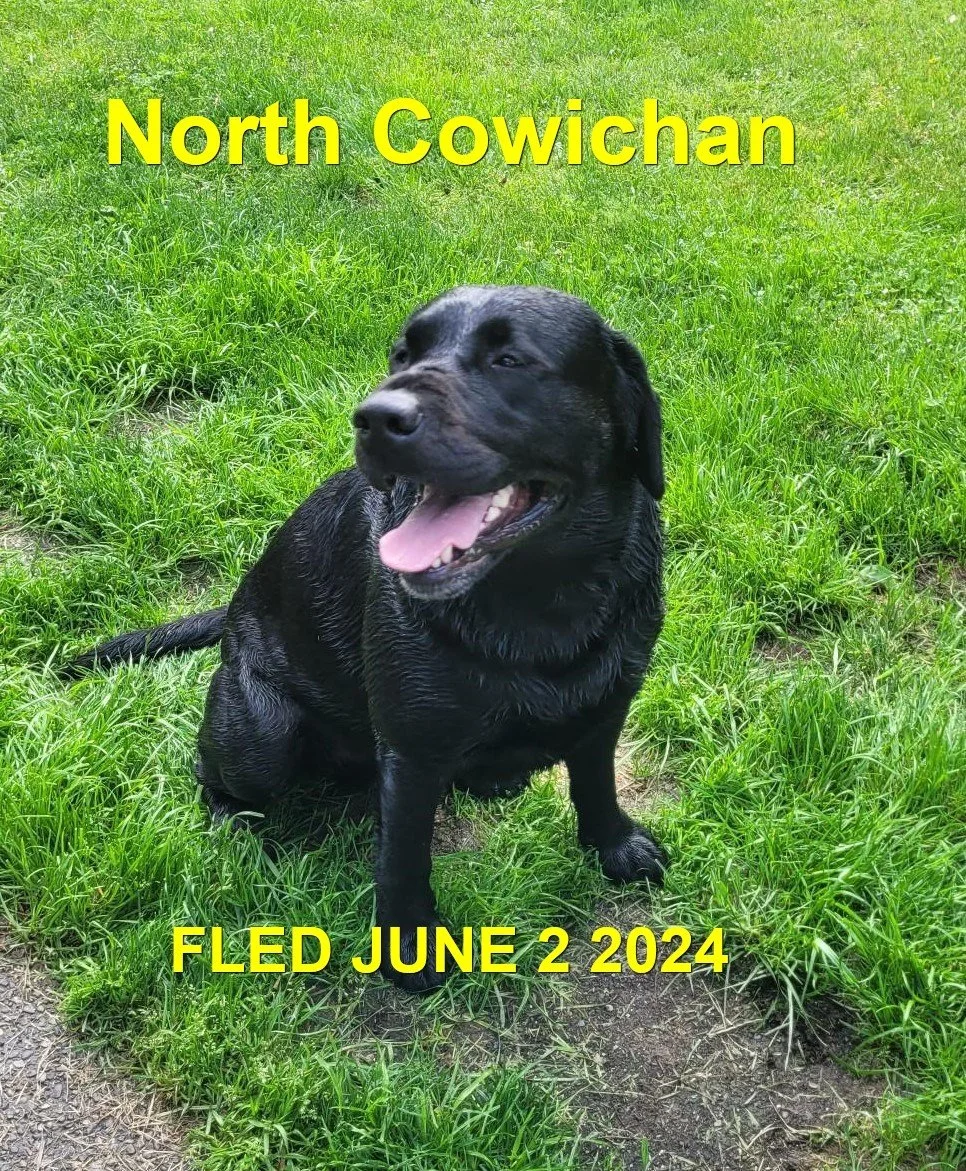 HAPPY ENDINGS - N. COWICHAN BC. / JUNE 2, 2024