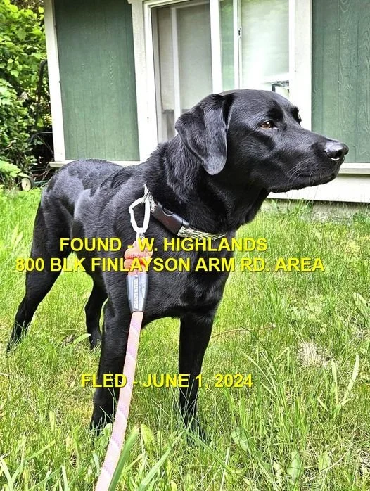 HAPPY ENDINGS - W. HIGHLANDS BC. / JUNE 1, 2024