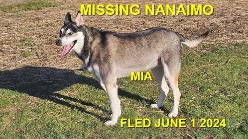 HAPPY ENDINGS - NANAIMO BC. / MIA / MAY 31, 2024