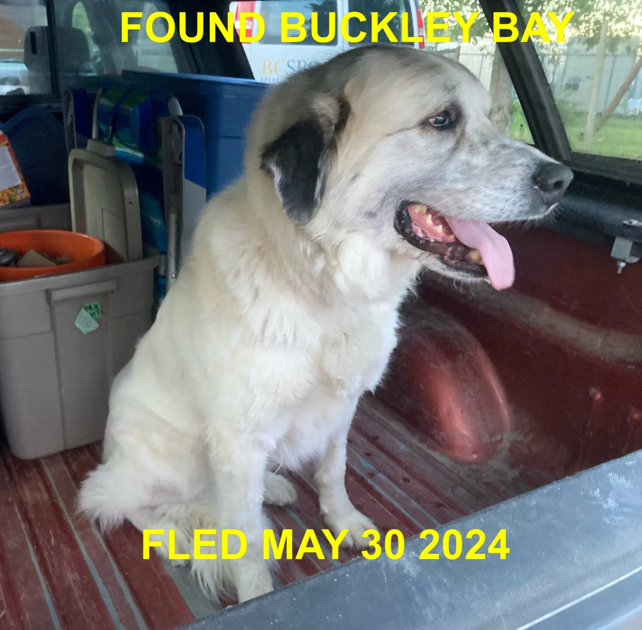 HAPPY ENDINGS - COMOX BC. / MAY 30, 2024