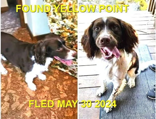 HAPPY ENDINGS -LADYSMITH BC. / MAY 30, 2024