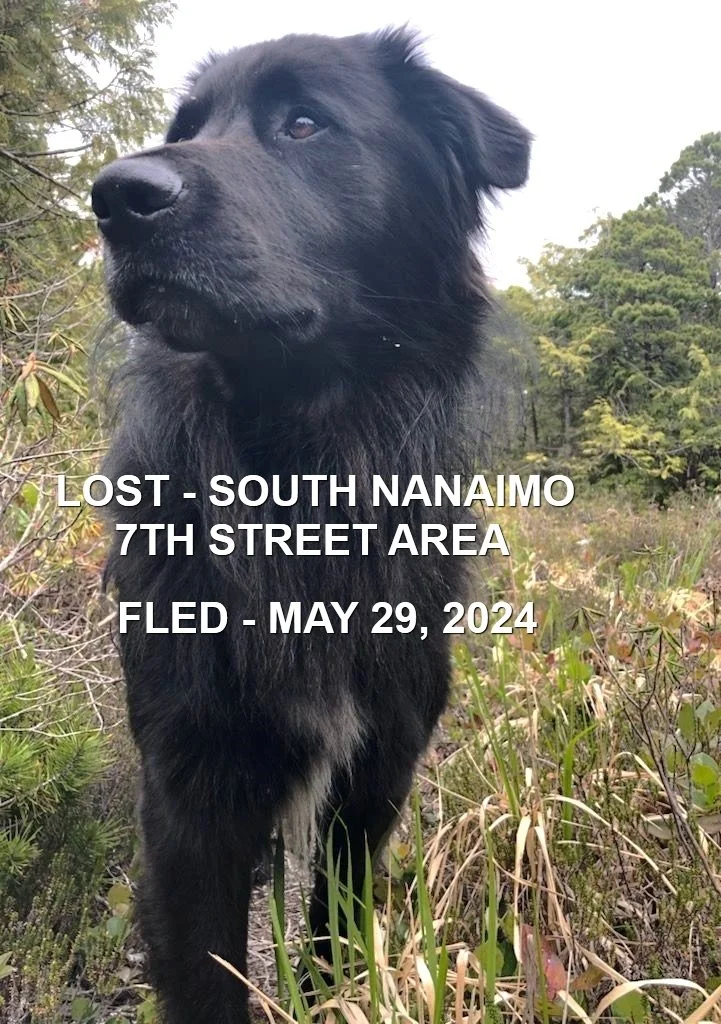 HAPPY ENDINGS - S. NANAIMO BC. / PAUL / MAY 29, 2O24