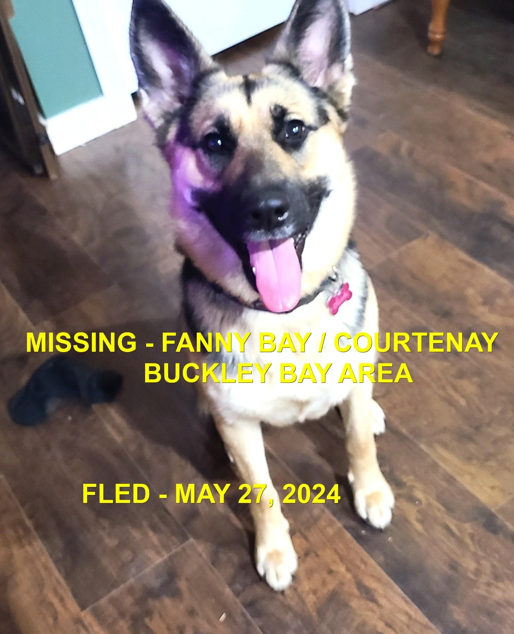 HAPPY ENDINGS - COURTENAY BC. / SUSHI / MAY 27, 2024