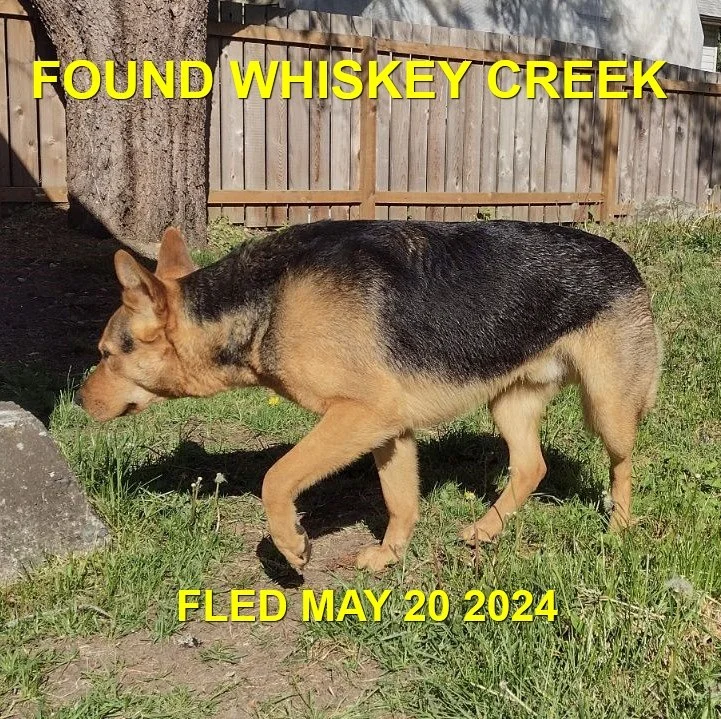 HAPPY ENDINGS - WHISKEY CREEK BC. / MAY 20, 2024