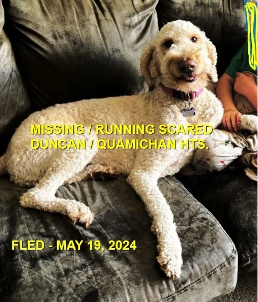 HAPPY ENDINGS - DUNCAN BC. / PENNY / MAY 19, 2024