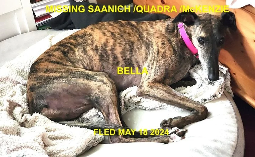 HAPPY ENDINGS - SAANICH BC. / BELLA / MAY 18, 2024