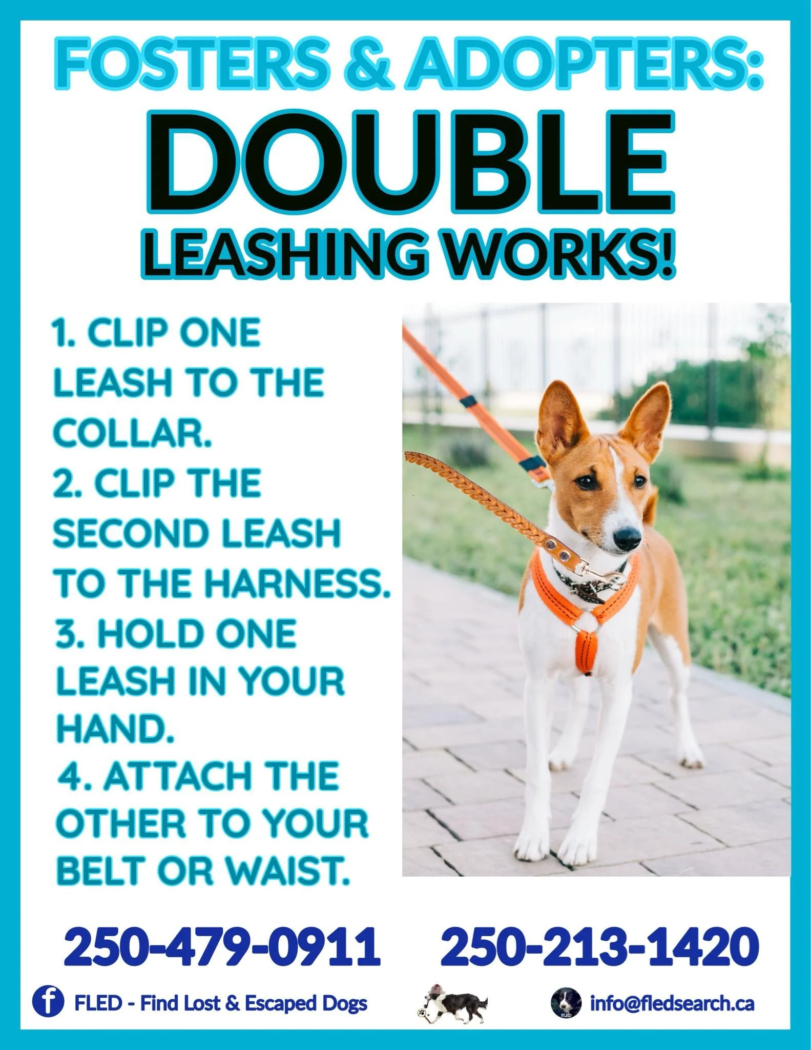 PSA - MAR 22, 2024  DOUBLE LEASHING