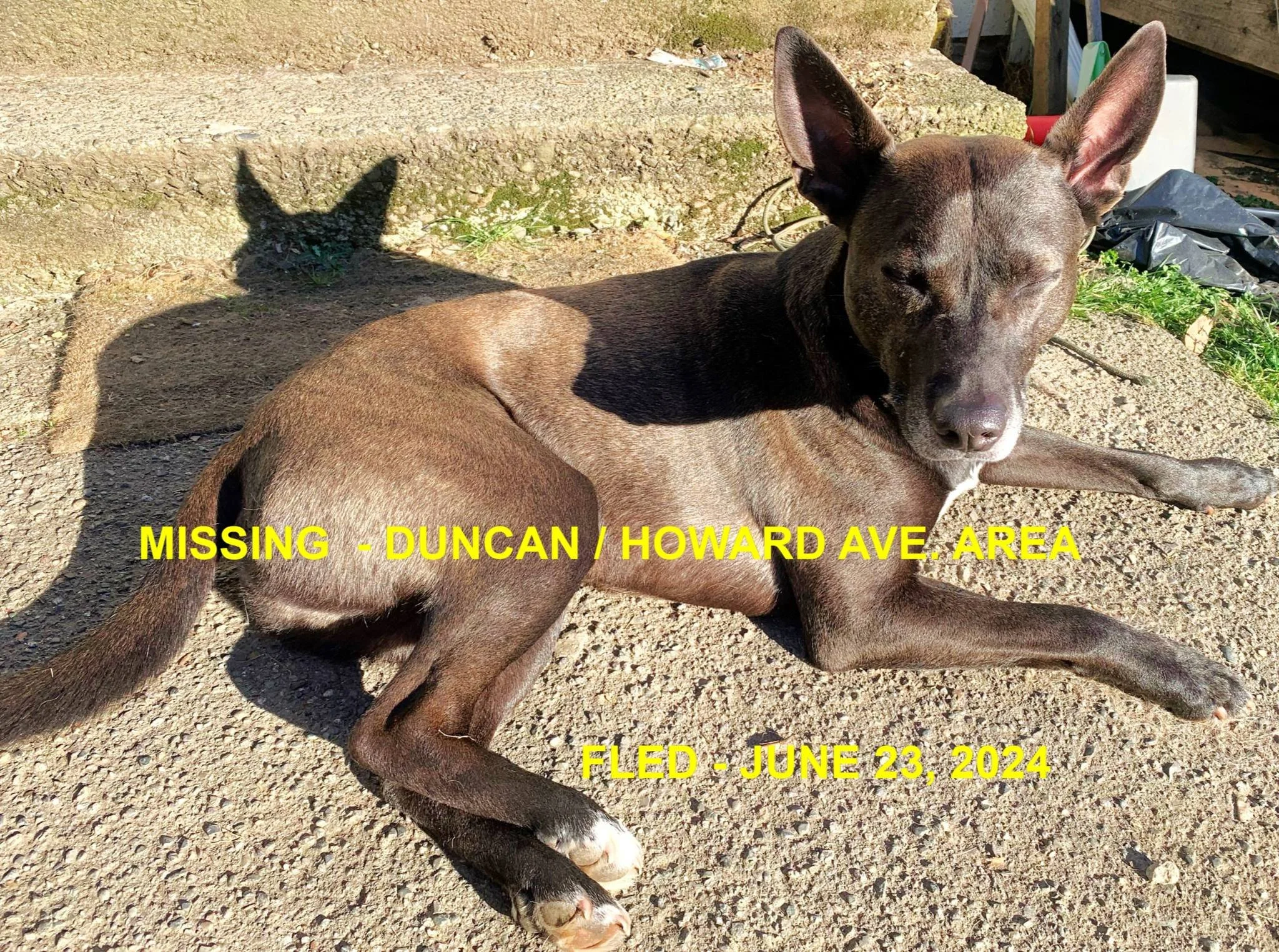 HAPPY ENDINGS - DUNCAN BC. / KERBEROS / APRIL 30, 2024